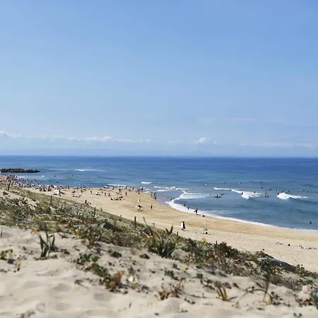 فيلة A Vieux-boucau Pour 10 Pers, Proche Ocean, Avec Terrasse - Fr-1-857-4 *